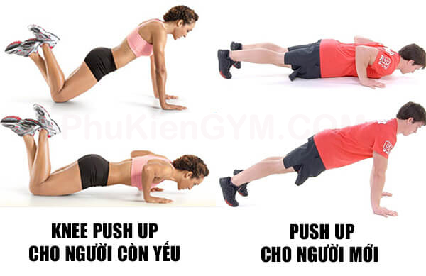 Tư thế hít đất đúng cách